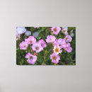 Search for delightful canvas prints Pink