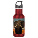 Search for aluminum water bottles Nature