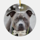 Search for pit bull christmas tree decorations Cute