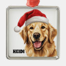 Search for golden retrievers christmas decor Santa