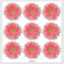 Search for gerbera daisy stickers Floral