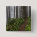Search for old growth forest accessories Lush