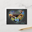 Search for borealis photography Alaska