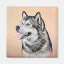 Search for malamute magnets Cute