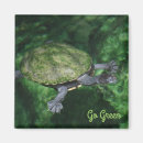 Search for going green magnets Turtle