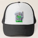 Search for feline hats Pets