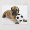 Search for one shot postcards Full length