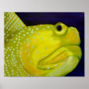 Search for goby posters Fish