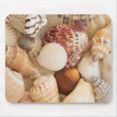 Search for pictures of shells mouse mats Sand