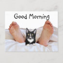 Search for waking up postcards Bed