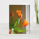 Search for still photography Tulip