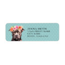 Search for bull terrier return address labels Puppy