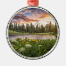 Search for mt rainier christmas tree decorations Landscape
