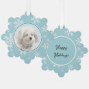 Search for coton de tulear christmas tree decorations Puppy