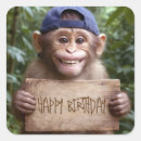 Search for monkey humour stickers Birthday
