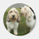 Search for tiny magnets Canine