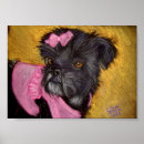 Search for shih tzu posters Animals