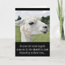 Search for funny llama jokes cards Farm