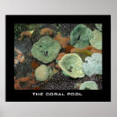 Search for pools posters Ocean