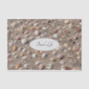 Search for sea shells tissue paper Summer