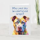 Search for pit bull dog Pets