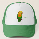 Search for cute parrot hats Parakeet