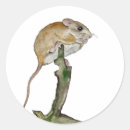 Search for tree mouse stickers Watercolor