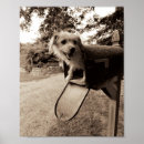 Search for whimsical animals posters Black and white