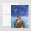 Search for red deer postcards Winter