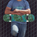 Search for peacock skateboards Plumage