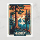 Search for sequoias postcards Vintage