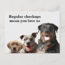Search for checkup Veterinary