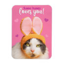 Search for bunny ears magnets Animal