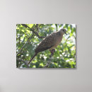 Search for oriental bird art Nature