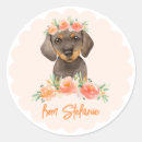 Search for birthday dachshund stickers Dog