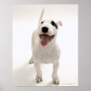 Search for front view art Vertical