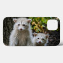 Search for raccoon iphone cases Racoon