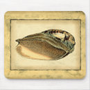 Search for seashells mouse mats Conch