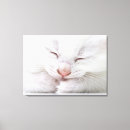 Search for satisfaction art Horizontal