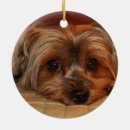Search for terrier christmas tree decorations Yorkie