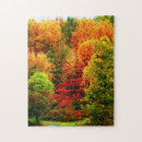 Search for autumn puzzles Countryside