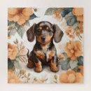 Search for dachshund puzzles Pet