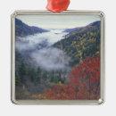 Search for autumn christmas tree decorations Public land