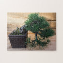 Search for japanese bonsai puzzles Tree