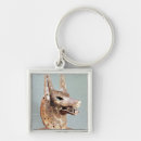 Search for anubis key rings Jackal