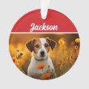 Search for jack russell christmas tree decorations Animals