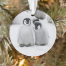 Search for antarctica christmas tree decorations Wildlife