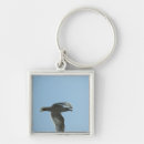 Search for flying bird key rings Outdoors