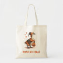Search for animal friendly accessories Fun