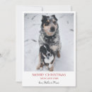 Search for pup christmas cards Adorable